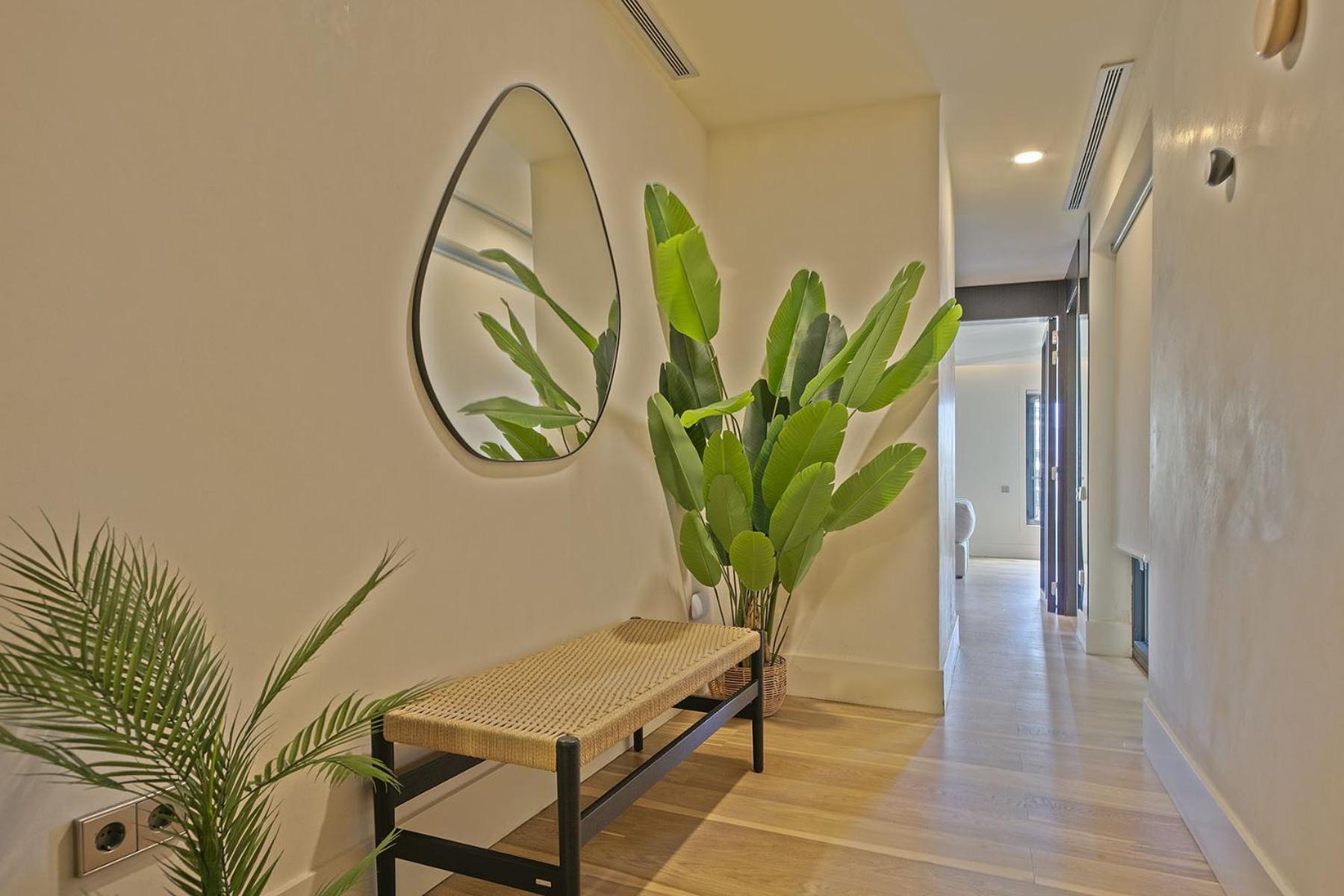 Ola Living Paseo De Gracia Apartment Barcelona Exterior photo